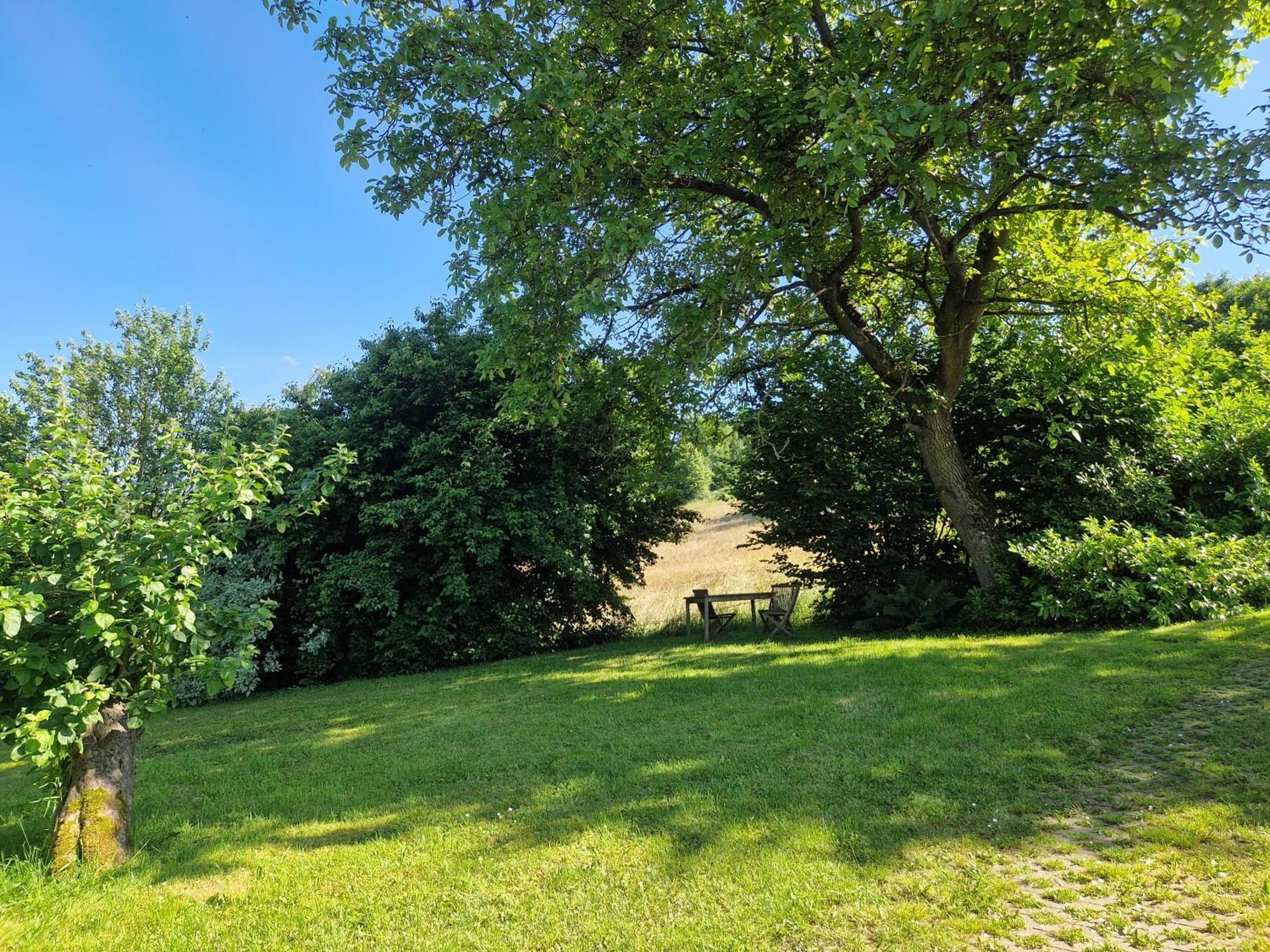 Ferienhaus Berghausen Am Hennesee Meschede Exterior foto